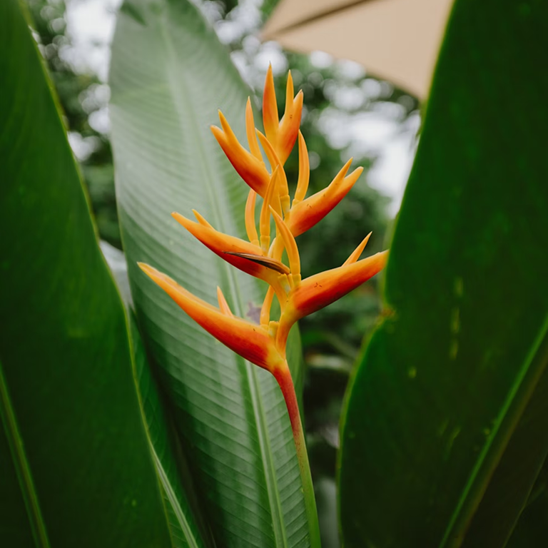 gallery Image Gallery 1